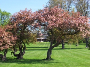 Trees are in spring bloom at Sonnenberg